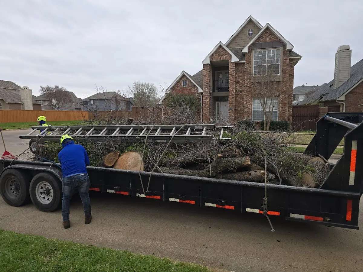 Expert Lot Clearing with proper safety equipment in Liberty